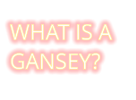 WHAT IS A GANSEY?